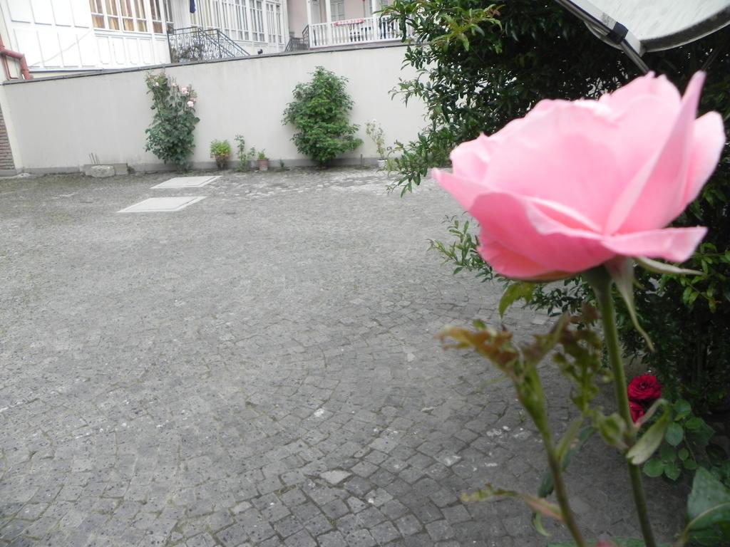 Old Yard Guest House Tiflis Exterior foto
